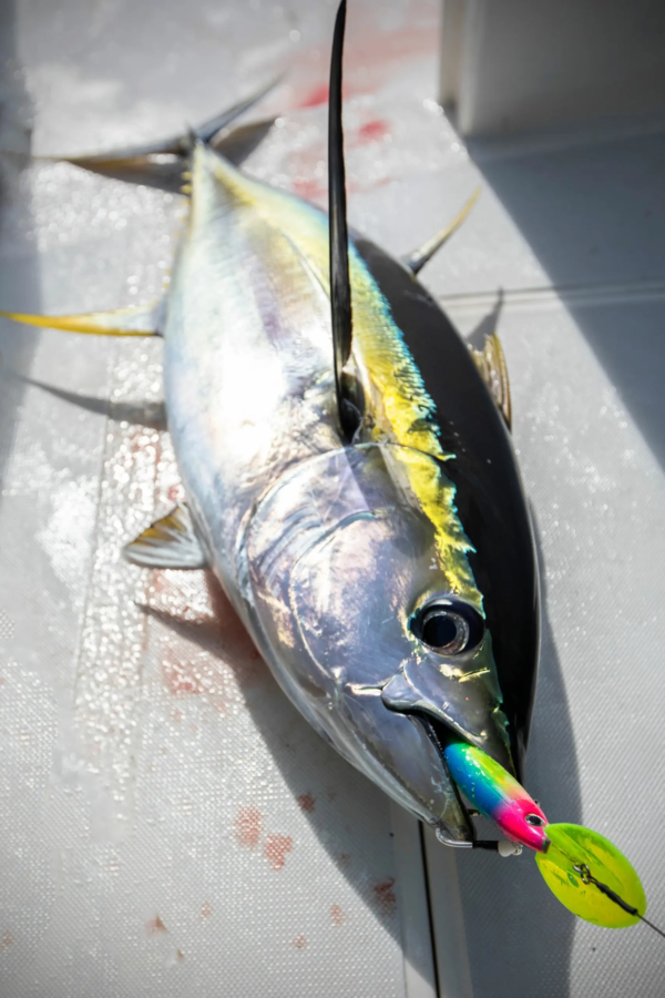 Rapala Xrap Magnum Divebait 20 - Image 6