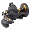 Penn Fathom® II Star Drag Reel 30
