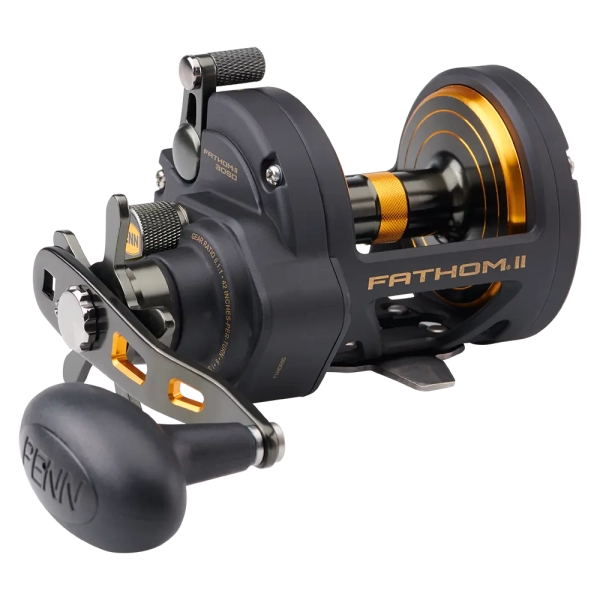 Penn Fathom® II Star Drag Reel 30