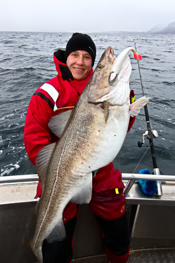 Kinetic Giant Shad 20 cm - Image 6