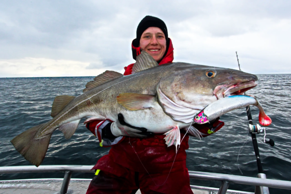 Kinetic Giant Shad 20 cm - Image 5