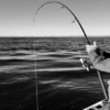 Höwk – The Big Blue 74 - Bild 8