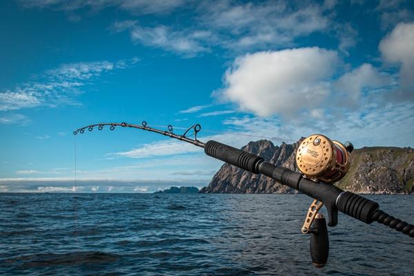 Giant halibut combo (Transformer F60H + Jigstar Phantom - Image 5