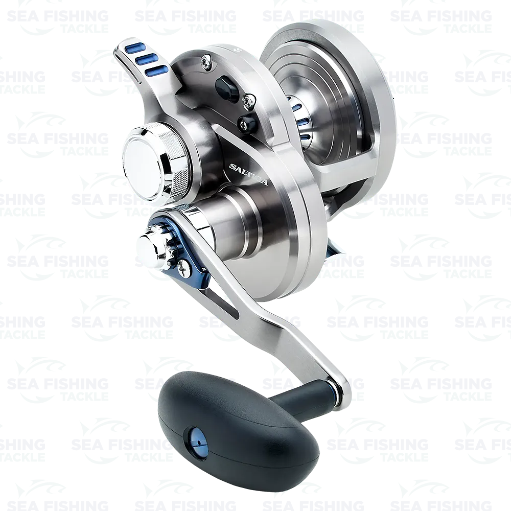 DAIWA SALTIGA® LEVER DRAG 2-SPEED REEL – Welcome to