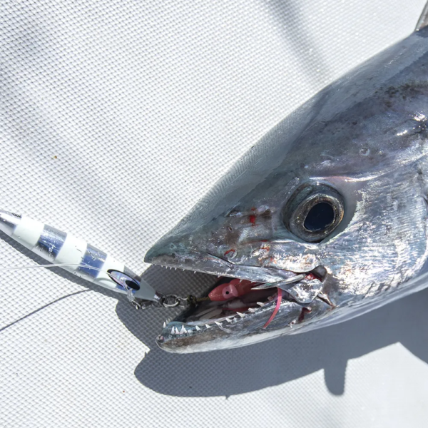 Daiwa SK-Jig 250 g - Image 6