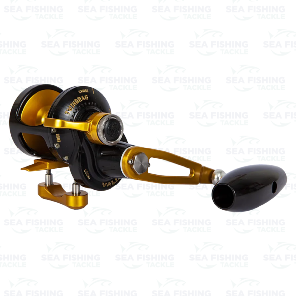 Accurate Valiant 400 6:1 Custom Black/Gold