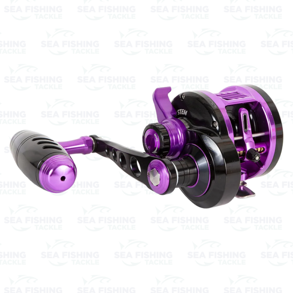 Maxel Armory 25 - Image 14